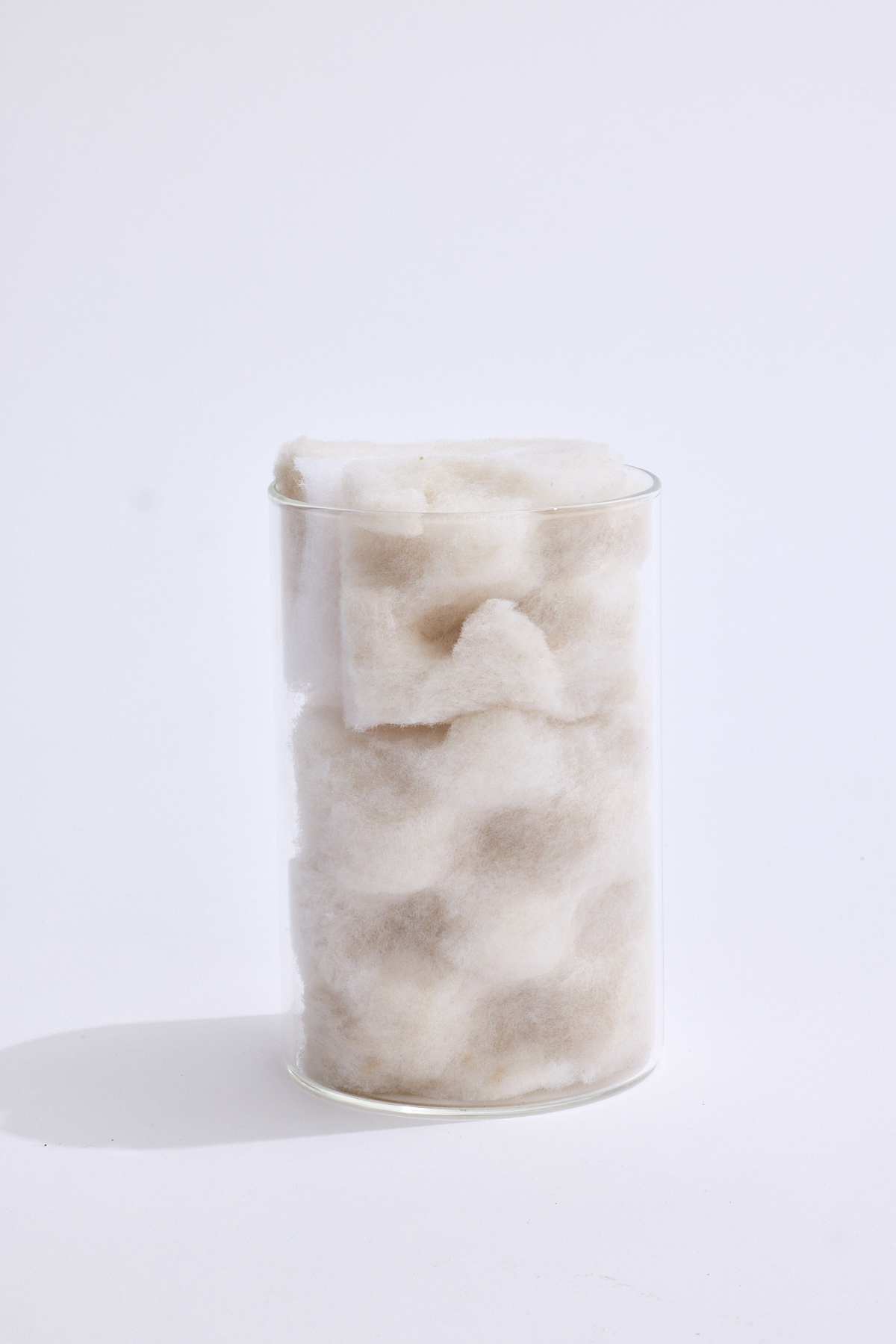 Anima-in anima installation by oneg - glass and mixed media exploring body exterior and interior